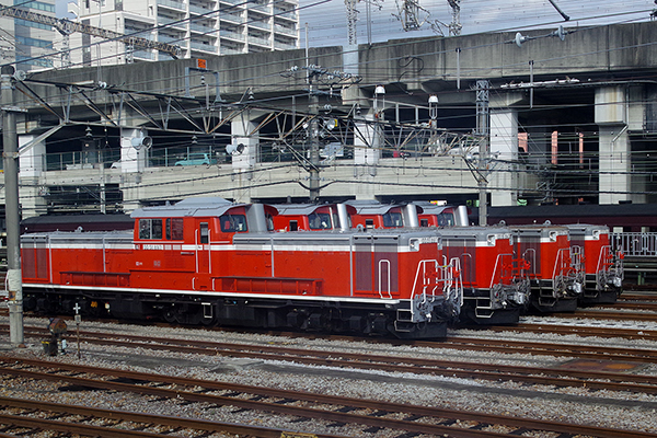 D51 (Sӂꂠf[)